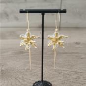 Créoles dorées Nova