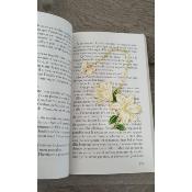 Marque page Lys et papillon